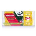 Spugna Antibatterica Cucina Ecologica Arix Masterclean Spugne ARIX