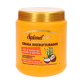 Splend'or Maschera Capelli Cocco e Bambù Maschere e Lozioni SPLEND’OR