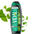 Vidal Bagnodoccia Menta e Ginkgo 500ml bagnoschiuma VIDAL