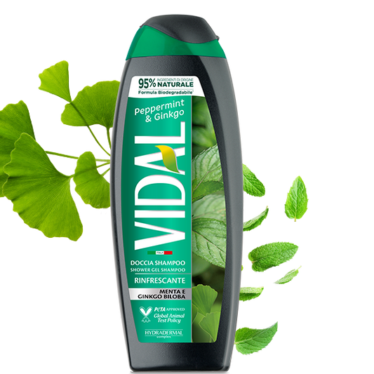 VIDAL BAGNODOCCIA 500ML MENTA E GINKGO