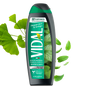 VIDAL BAGNODOCCIA 500ML MENTA E GINKGO