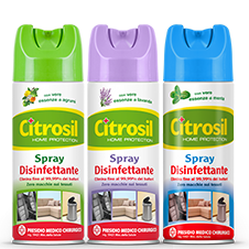 CITROSIL SPRAY DISINFETTANTE 300ML
